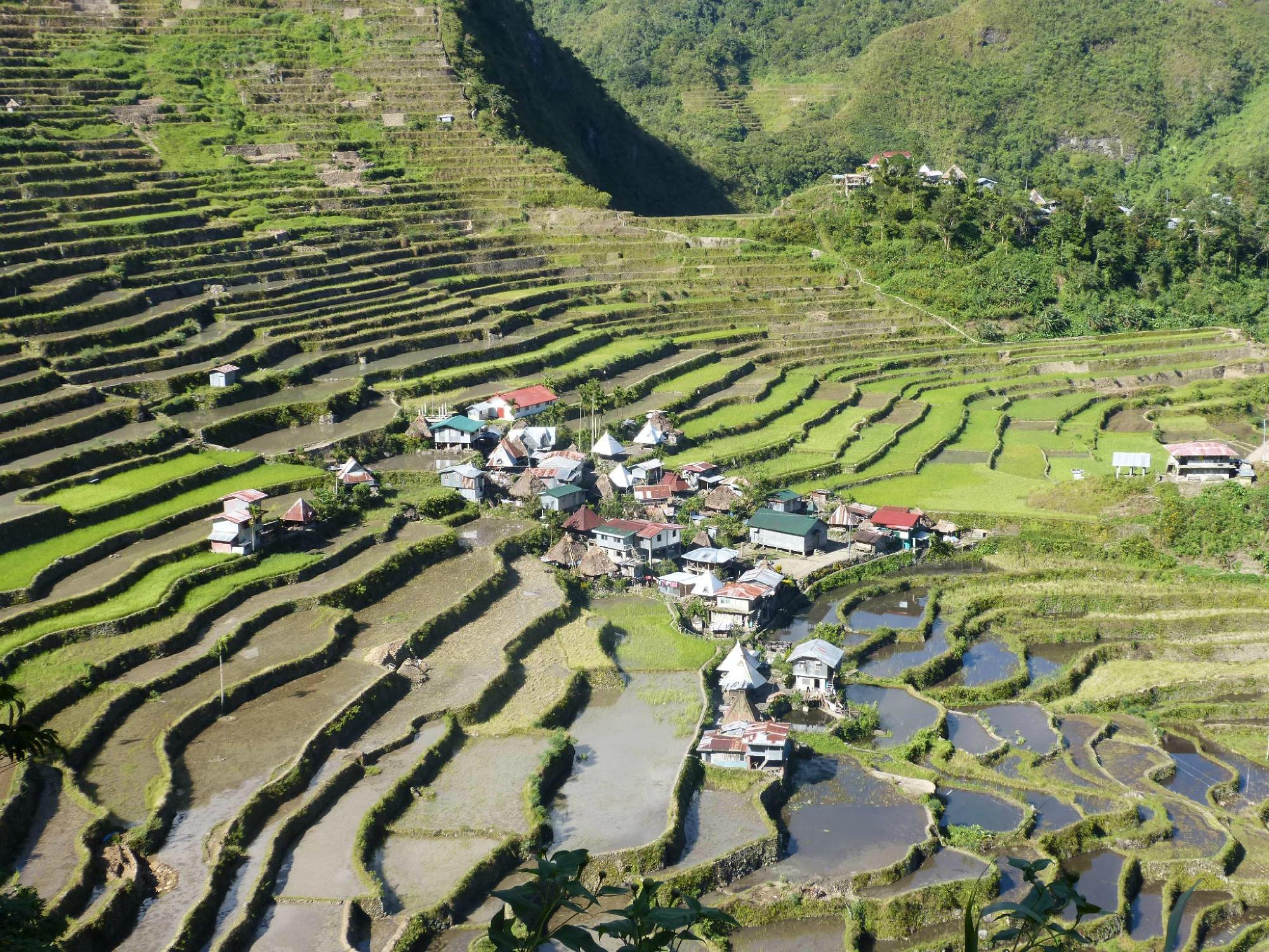 Batad Hillside Inn and Restaurant-客卧