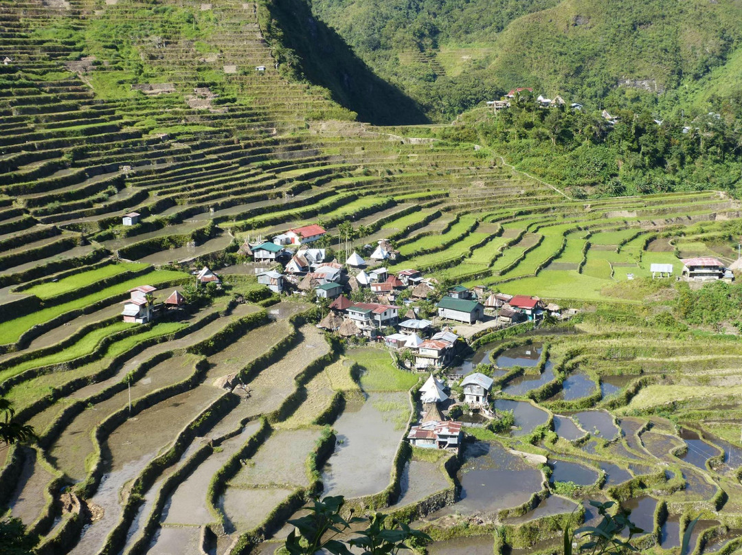 Batad Hillside Inn and Restaurant主图