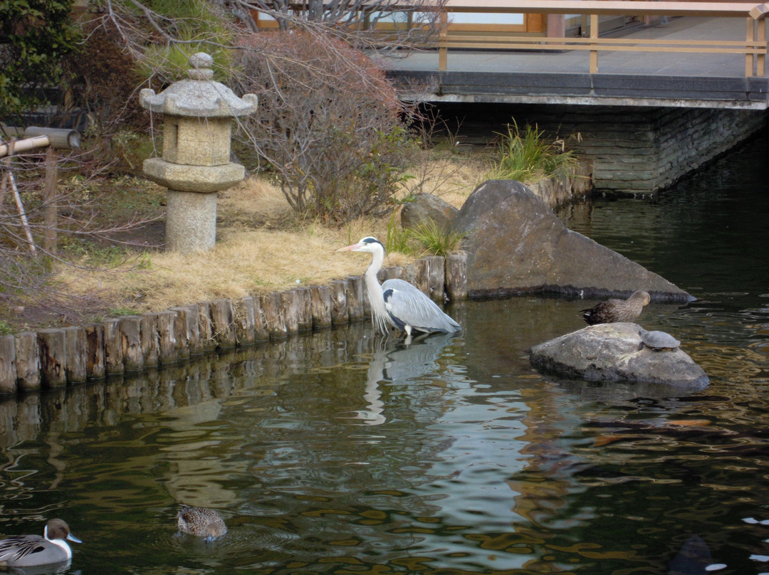 Edogawa Natural Zoo-江戸川区必去景点