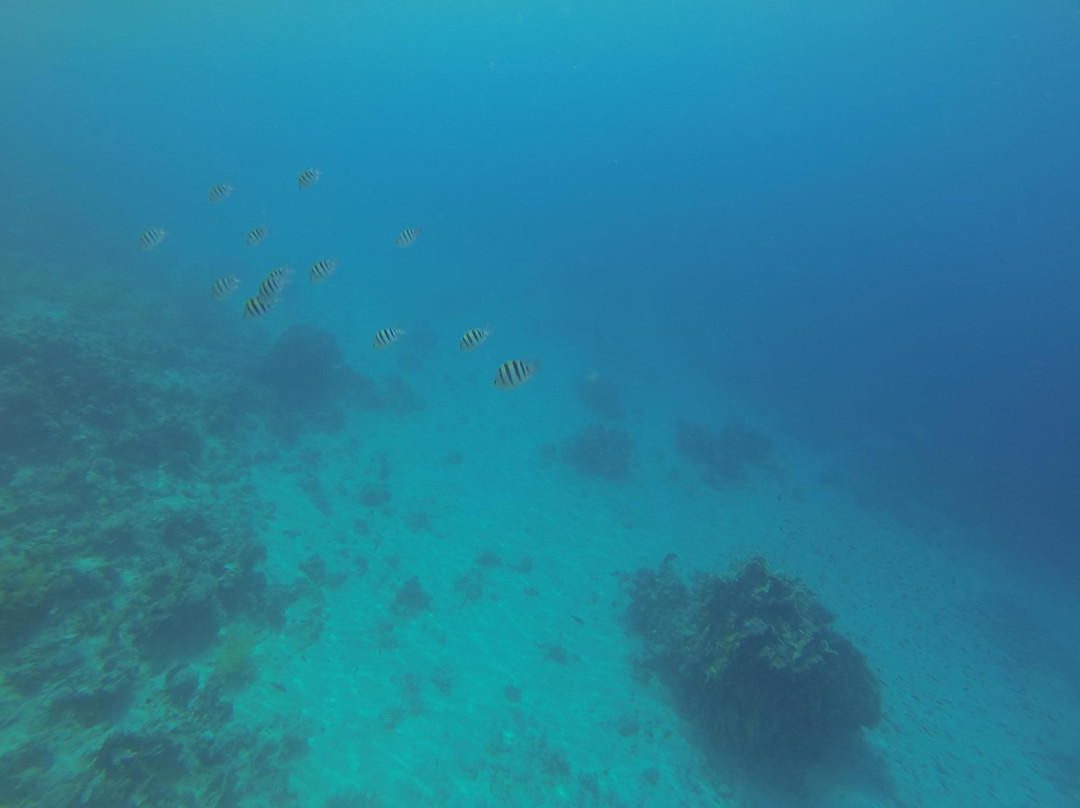 Extra Divers Aqaba-亚喀巴必去景点