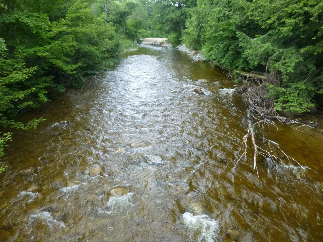 Ripton旅游攻略图片