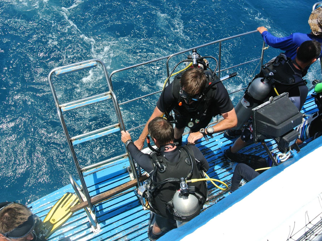 Namloo Divers - Day Diving景点图片