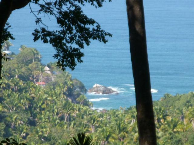 Lo de Perla Jungle Garden-旧金山必去景点