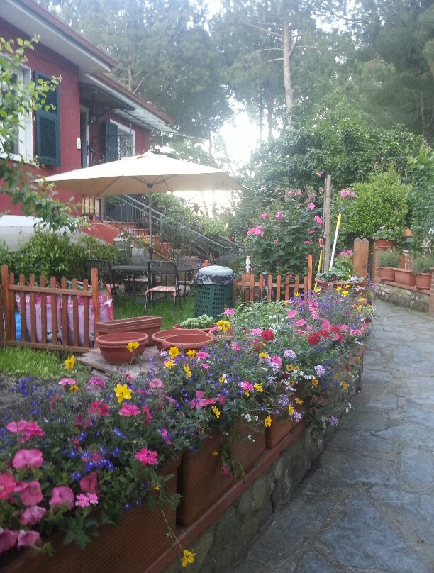 B&B Ambaraba