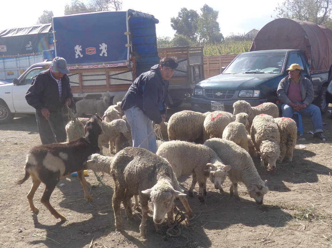 Mercado Indigena-Saquisili必去景点