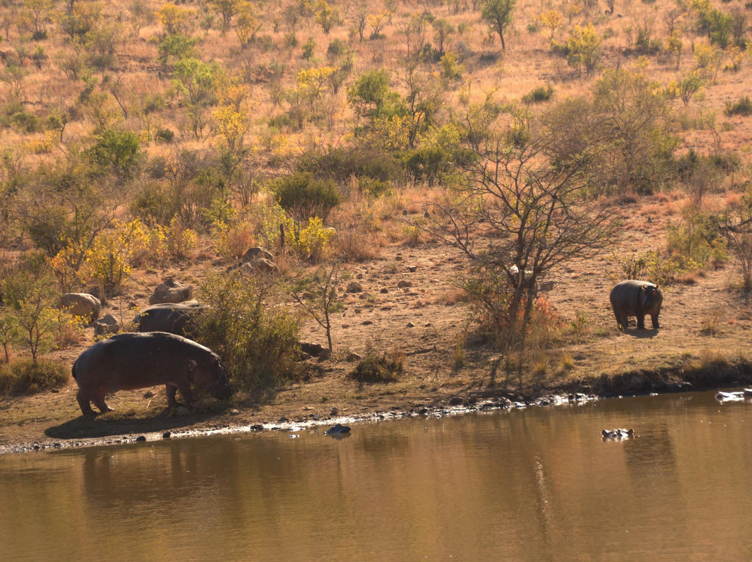 Felleng旅游服务-约翰内斯堡必去景点