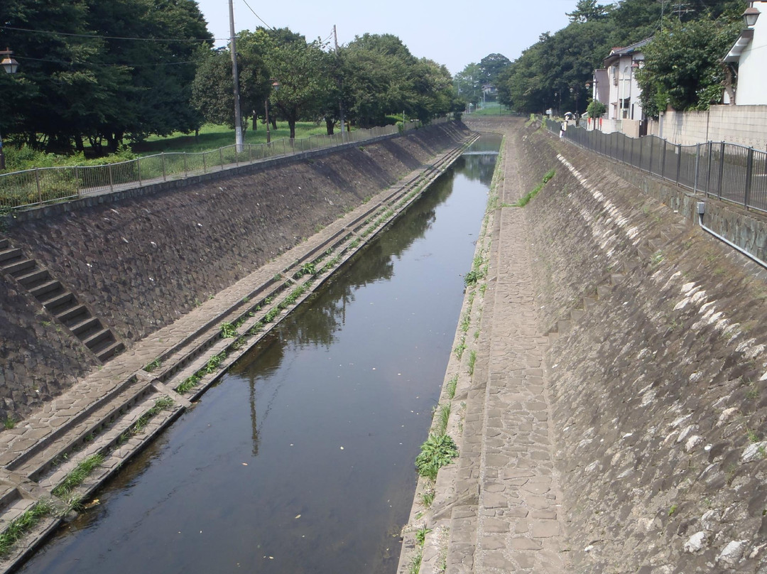 Wadabori Park-杉并区必去景点