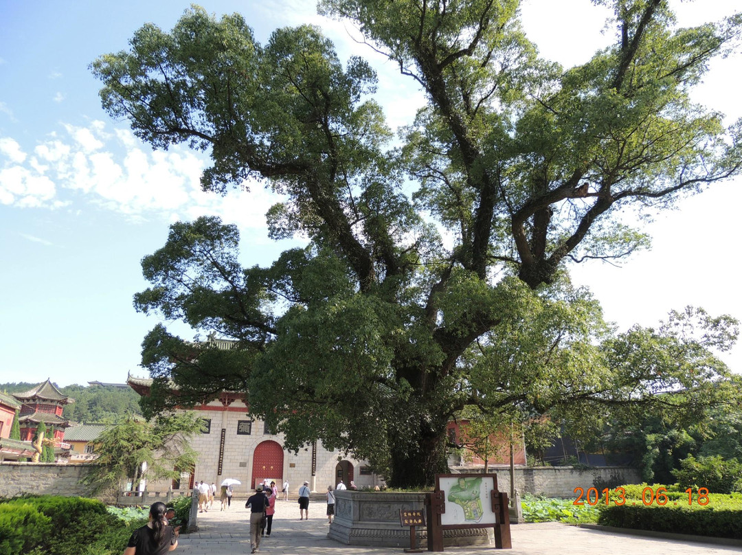 庐山东林寺景点图片