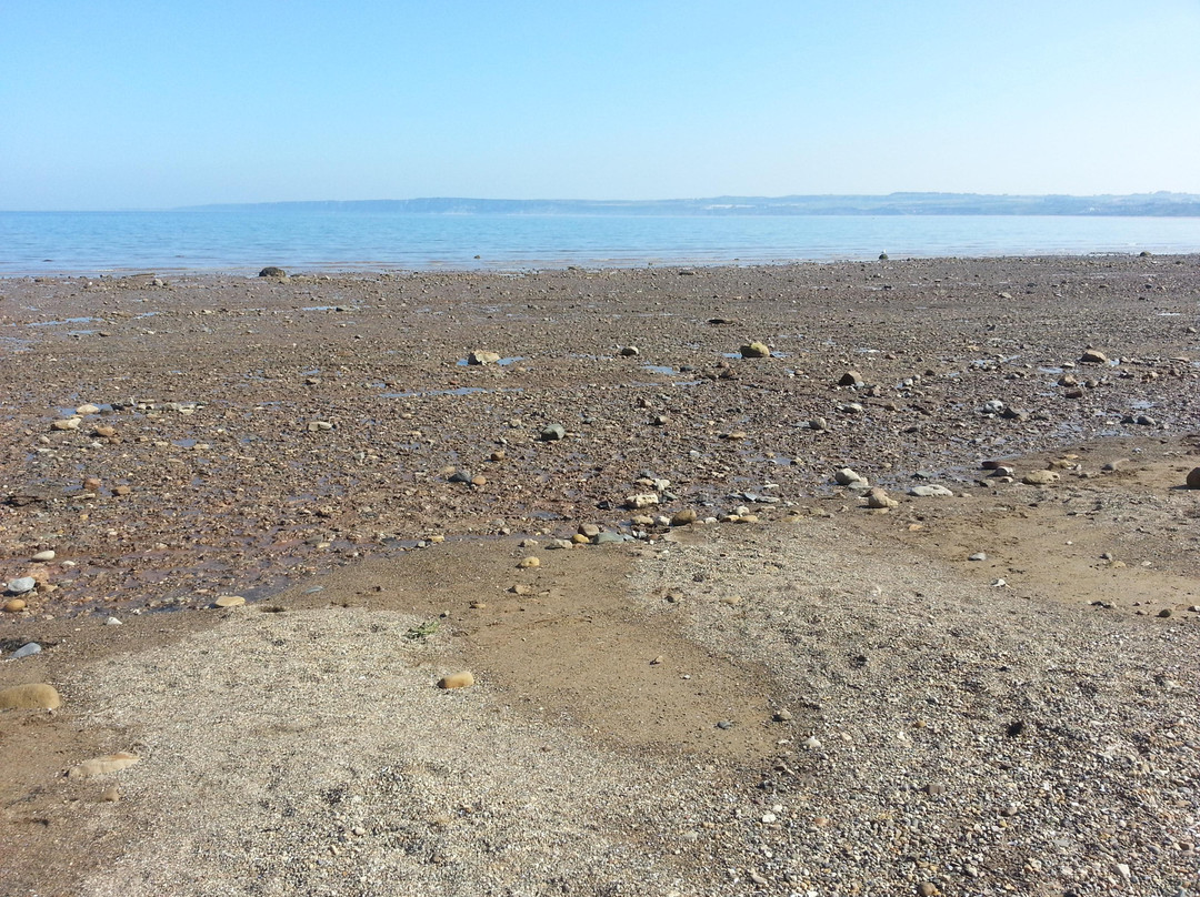 Filey Beach景点图片