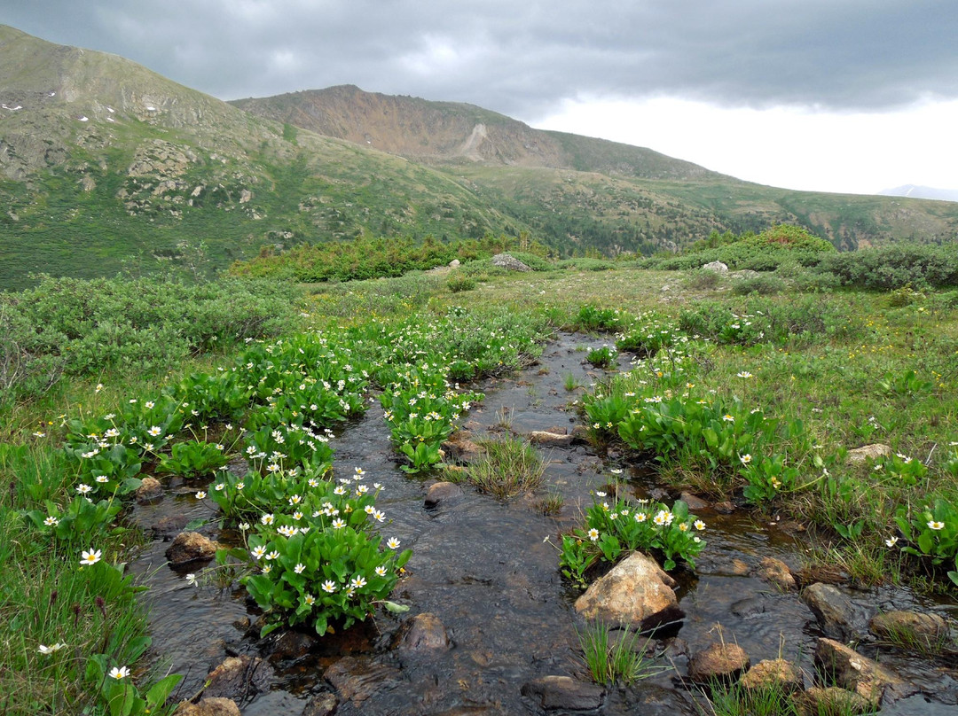 Linkins Lake Trail-阿斯蓬必去景点
