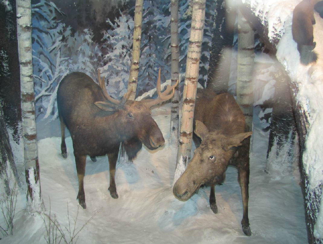 长春地质宫博物馆-长春市必去景点