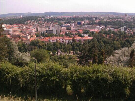 Cetățuia Hill (Dealul Cetățuia)景点图片