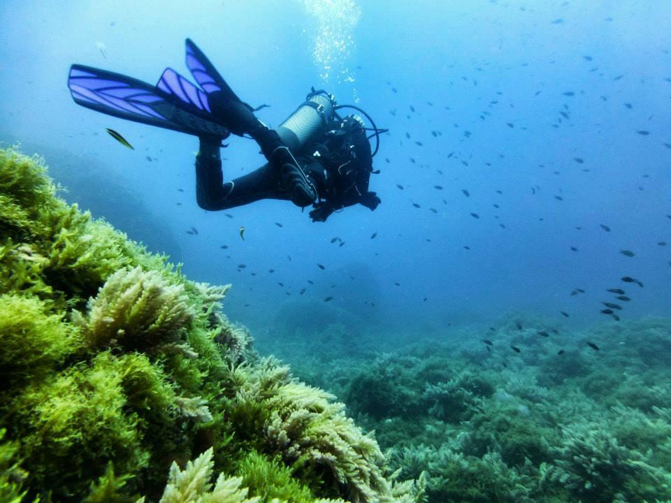 Diving dragonera-Port d'Andratx必去景点