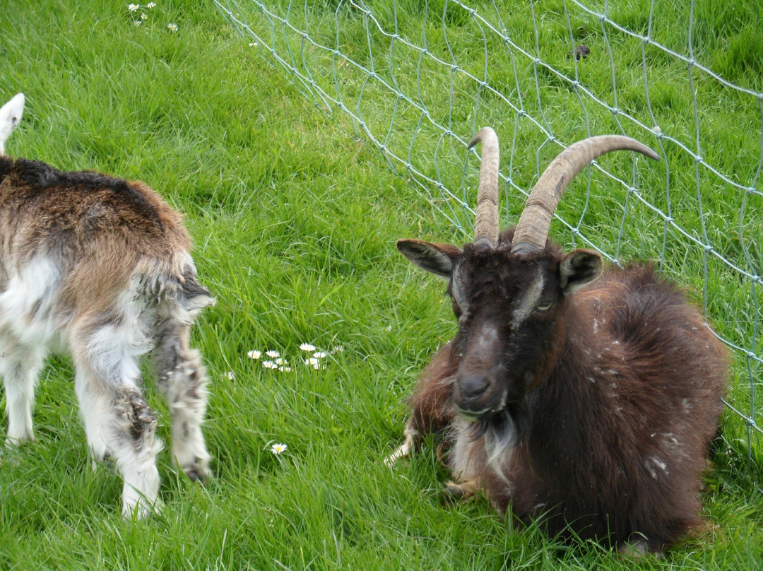 Newgrange Farm-Slane必去景点