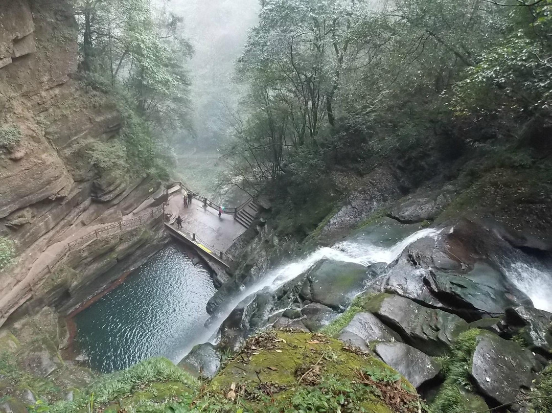 雅安碧峰峡-雅安市必去景点