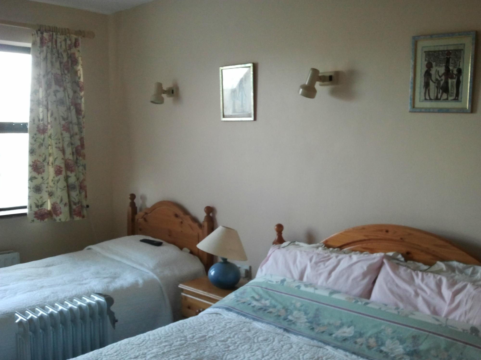 Coonagh Lodge B&B-客卧