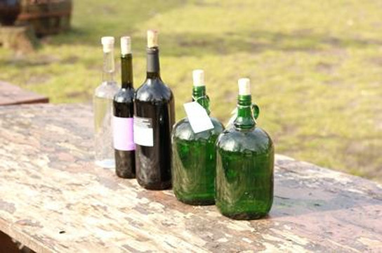 Rural Safari Hungary Day Tour-布达佩斯必去景点