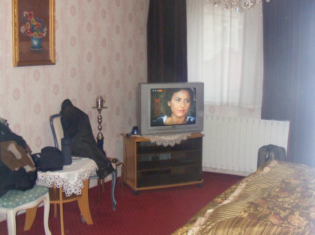 Kalman Panzio主图