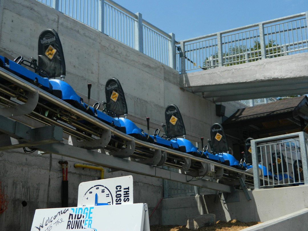 Ridge Runner Mountain Coaster-蓝山必去景点