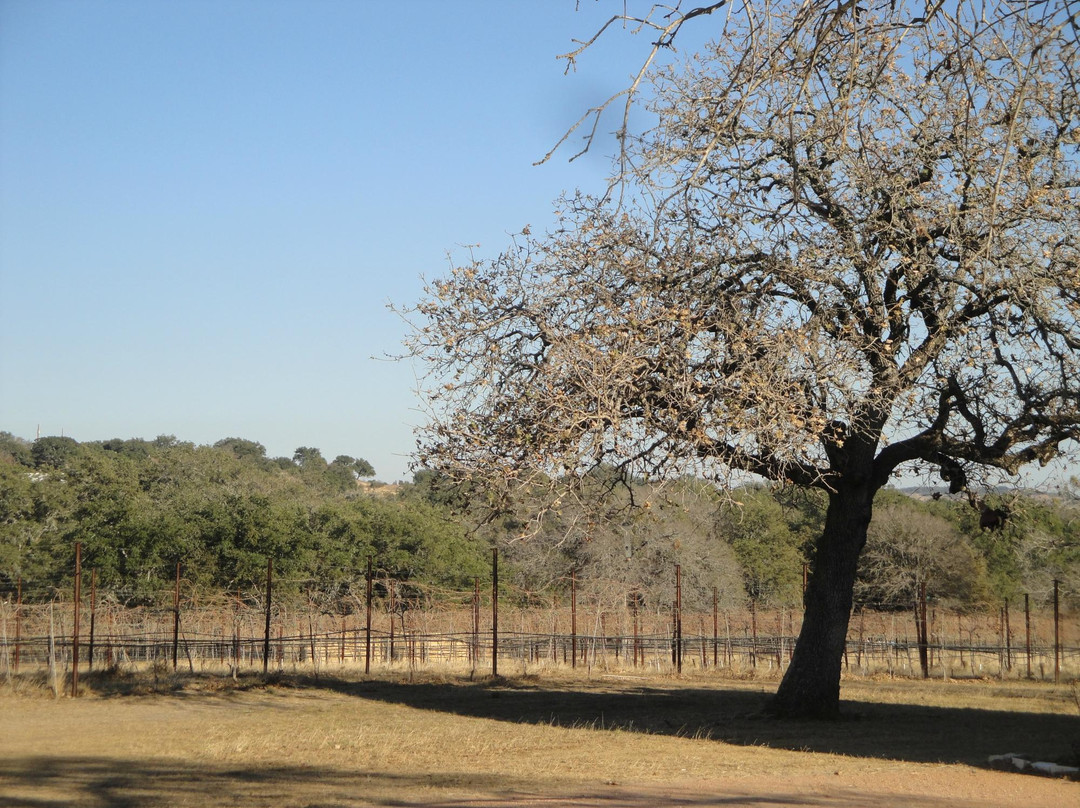 Westcave Cellars Winery & Brewery-Johnson City必去景点