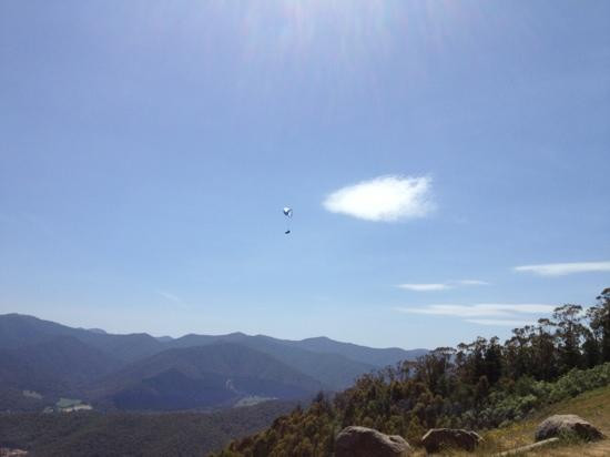 Alpine Paragliding景点图片