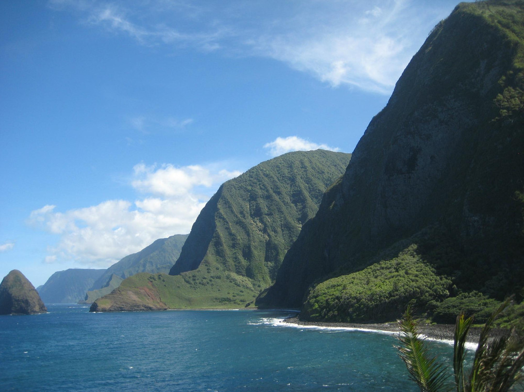 Saint Philomena Catholic Church-卡劳帕帕必去景点
