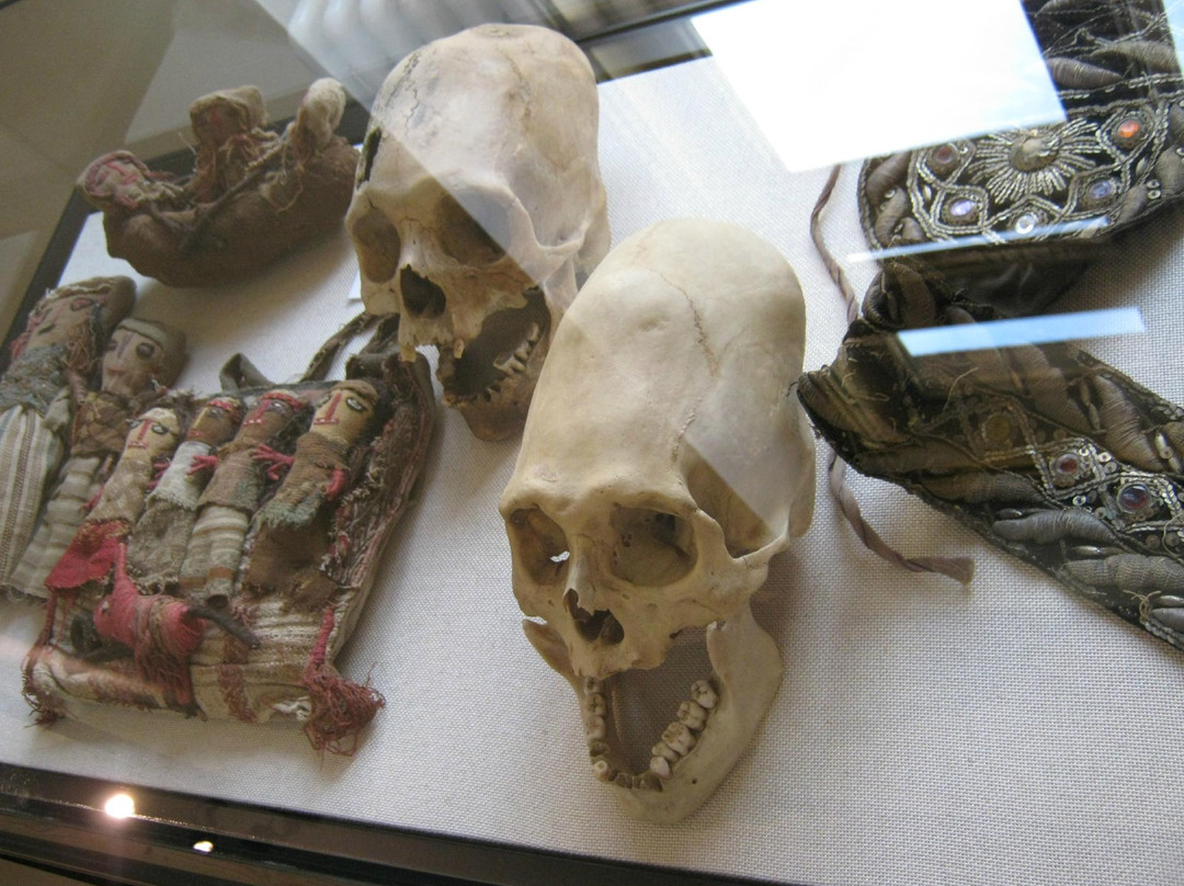 Messner Mountain Museum Ripa景点图片