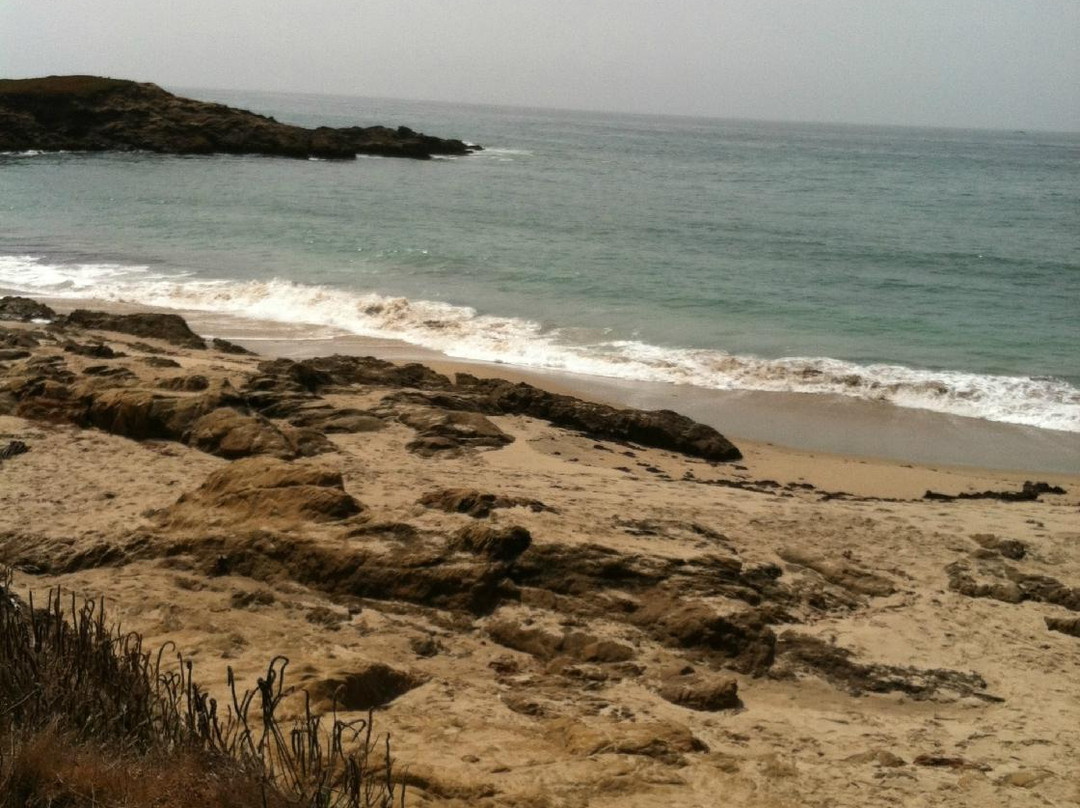 Bean Hollow State Beach-佩斯卡德罗必去景点