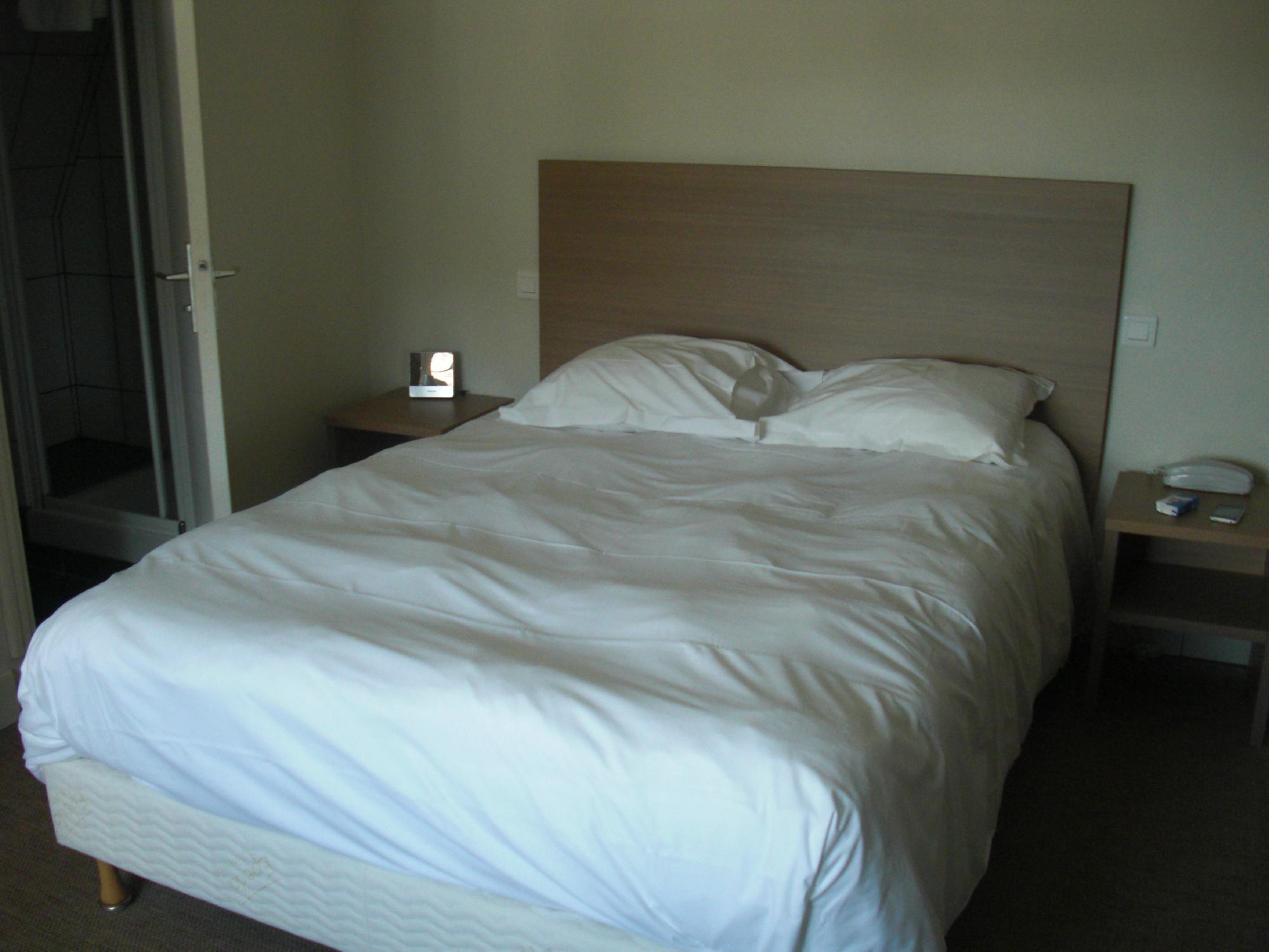 Hotel La Foret-客卧