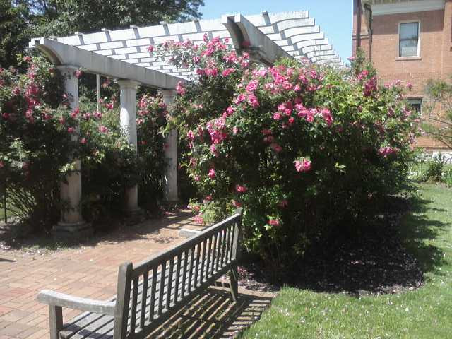 Turner-Dodge House & Heritage Center-兰辛必去景点