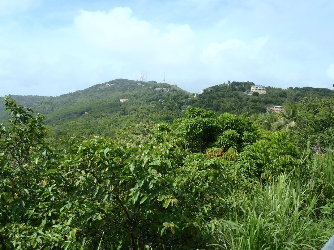 Ridge Road-托土拉必去景点