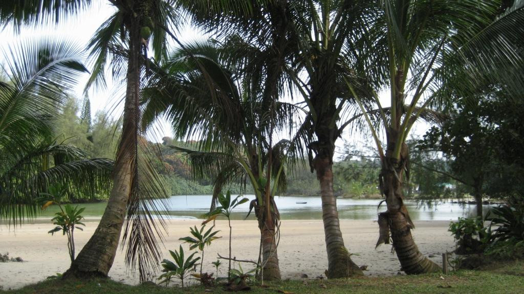 哈纳雷湾-可爱岛必去景点