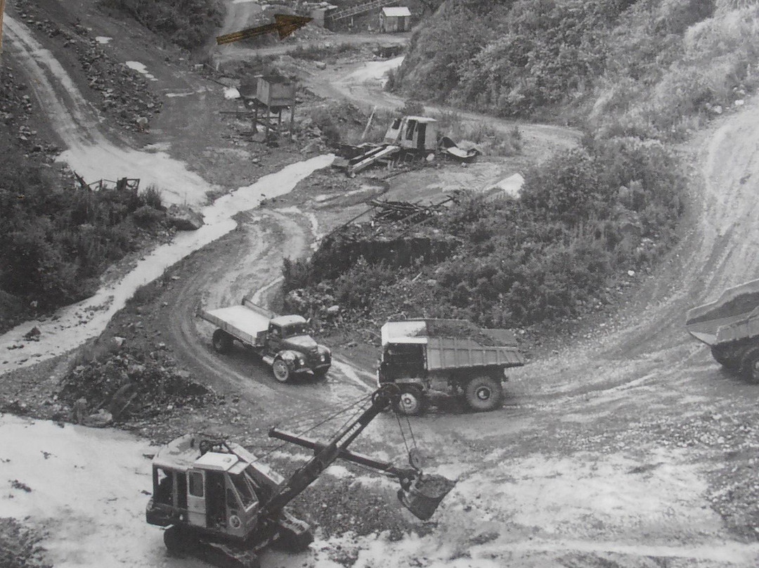 Whangārei Quarry Gardens景点图片