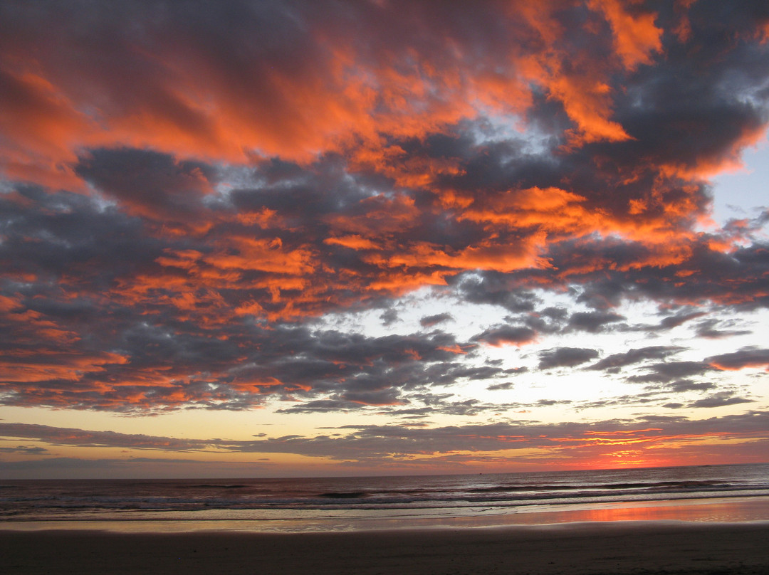 Las Baulas National Marine Park-大滩必去景点