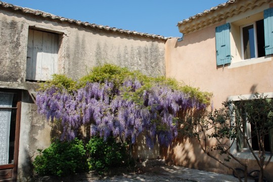 Le Mas des Vignes-官方