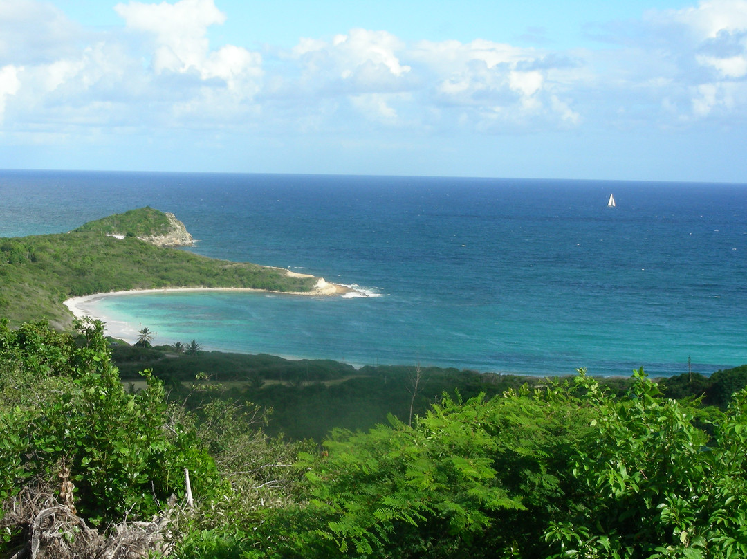 Half Moon Bay-Saint Philips必去景点