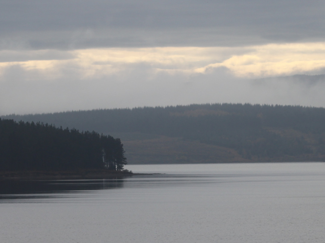 Kielder Forest-Kielder必去景点