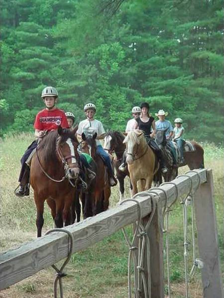 Carousel Horse Farm-Casco必去景点