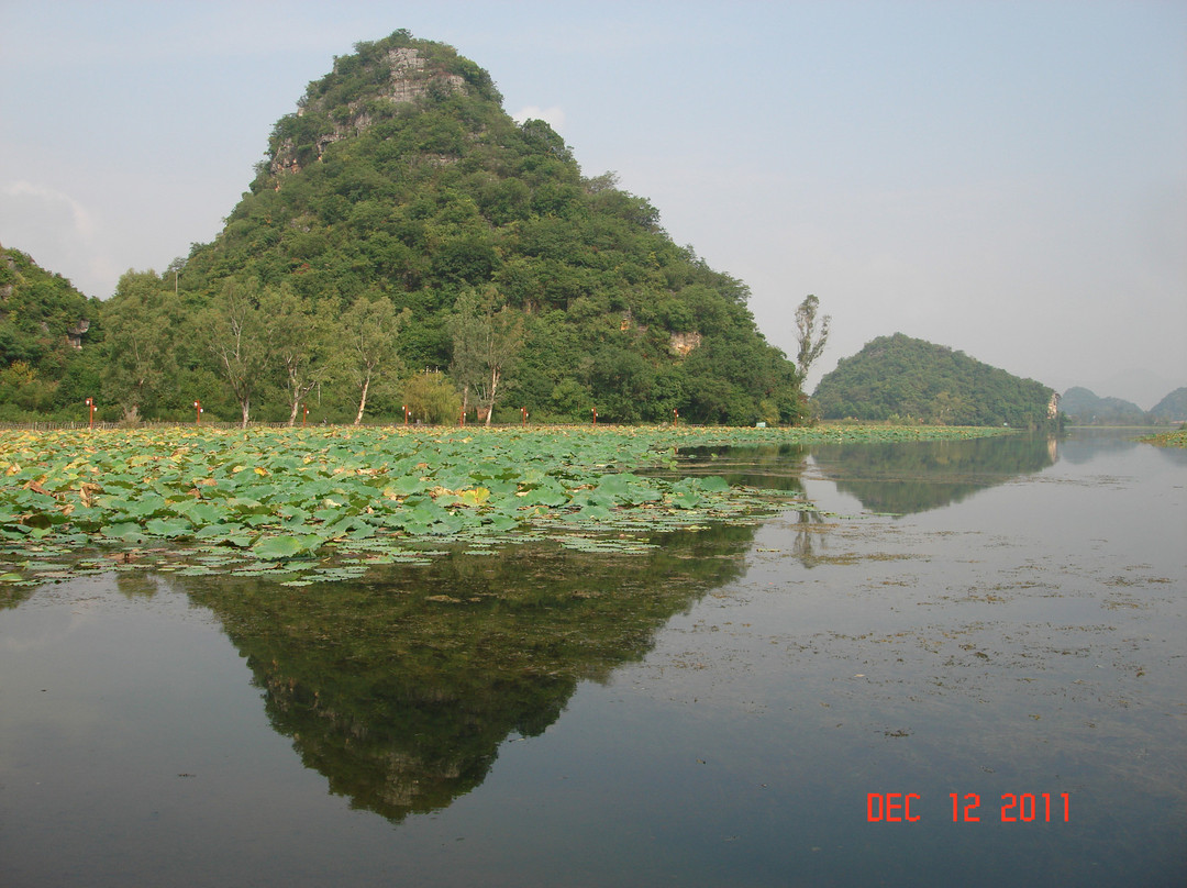 普者黑景区-丘北县必去景点