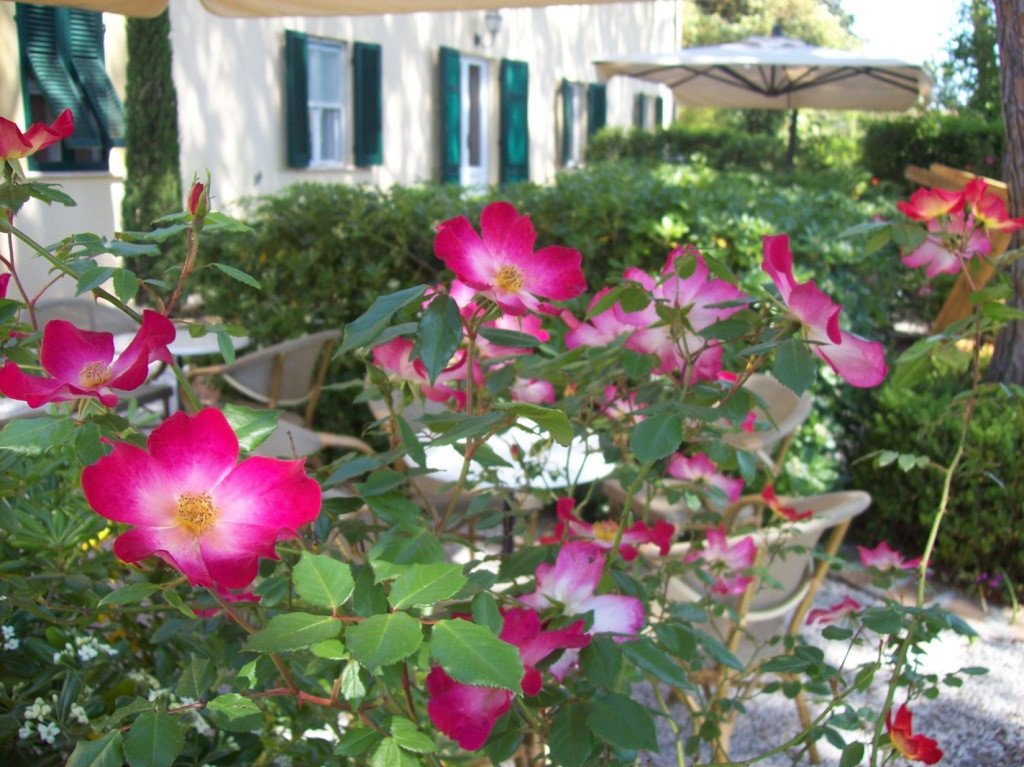 Villa Terme di Caldana Bed & Breakfast主图