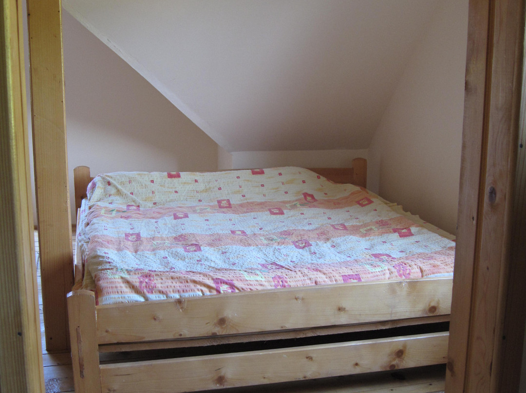 Dragoslovean Guesthouse主图