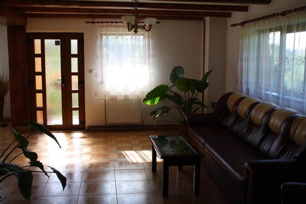 Pensiunea 4 Anotimpuri-餐饮