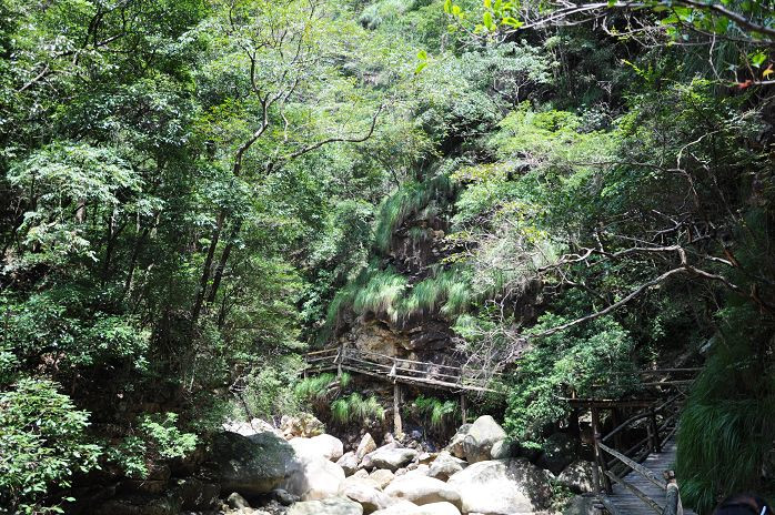 牯牛降-石台县必去景点