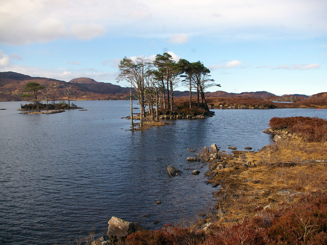 Loch Assynt-Lairg必去景点