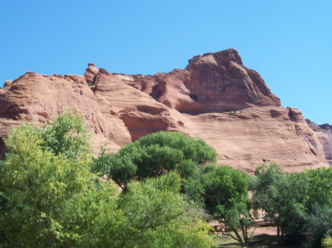 Canyon De Chelly Tours, Llc.-Chinle必去景点
