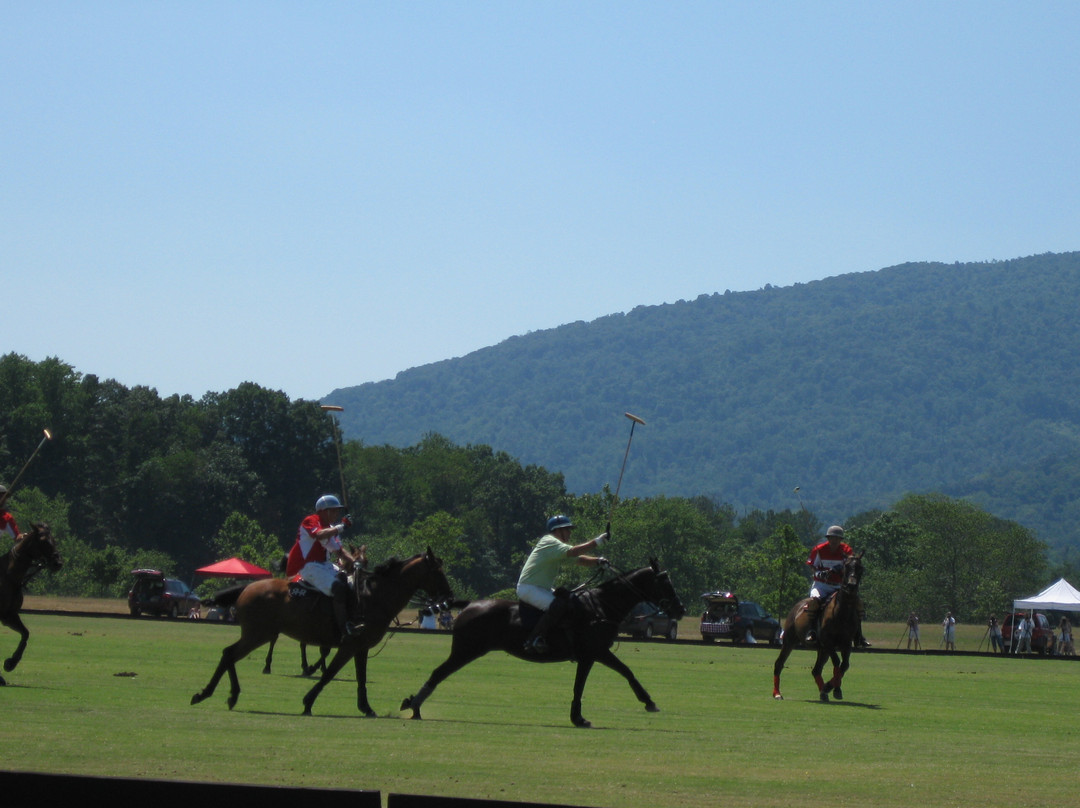 King Family Vineyards-Crozet必去景点