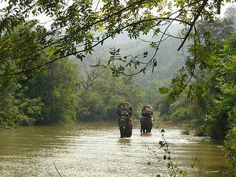 Green Discovery Laos-琅勃拉邦必去景点