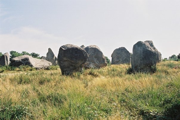 Megaliths of Carnac景点图片