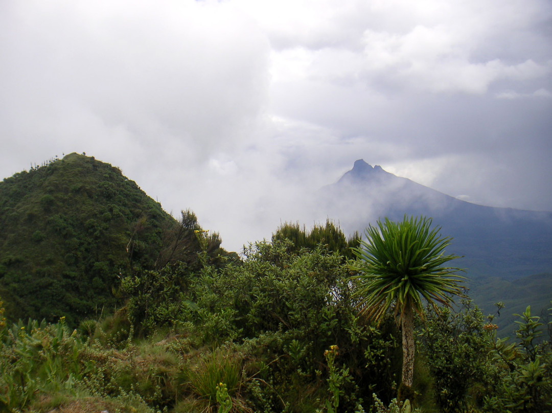 Mount Sabinyo景点图片