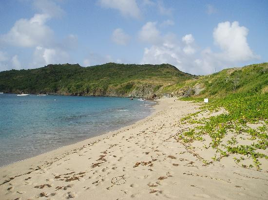 Colombier Beach-圣巴托洛缪岛必去景点